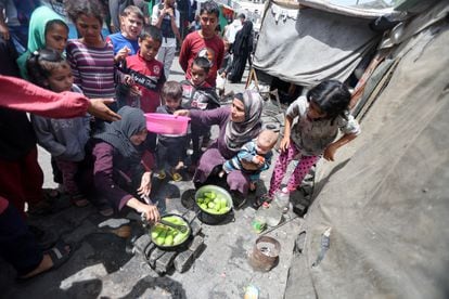 Los palestinos abandonados se refugian este martes en una escuela afiliada a la ONU, en Deir al-Balah, en Gaza, Francia.